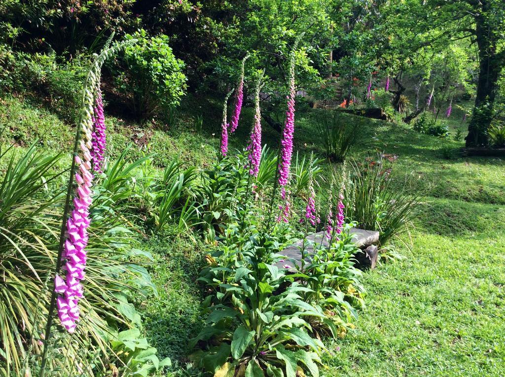 Campos do Jordão Sitio Nossa Senhora De Loreto מראה חיצוני תמונה