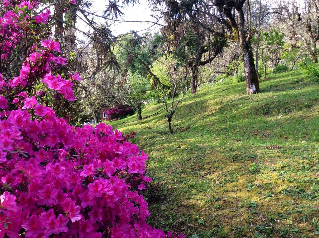 Campos do Jordão Sitio Nossa Senhora De Loreto מראה חיצוני תמונה