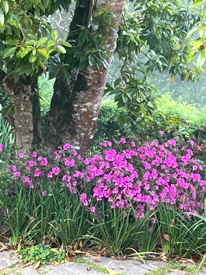 Campos do Jordão Sitio Nossa Senhora De Loreto מראה חיצוני תמונה