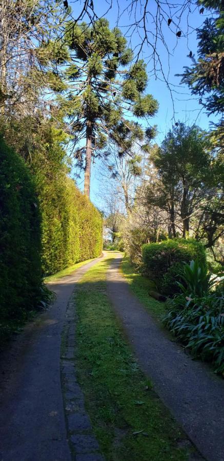 Campos do Jordão Sitio Nossa Senhora De Loreto מראה חיצוני תמונה